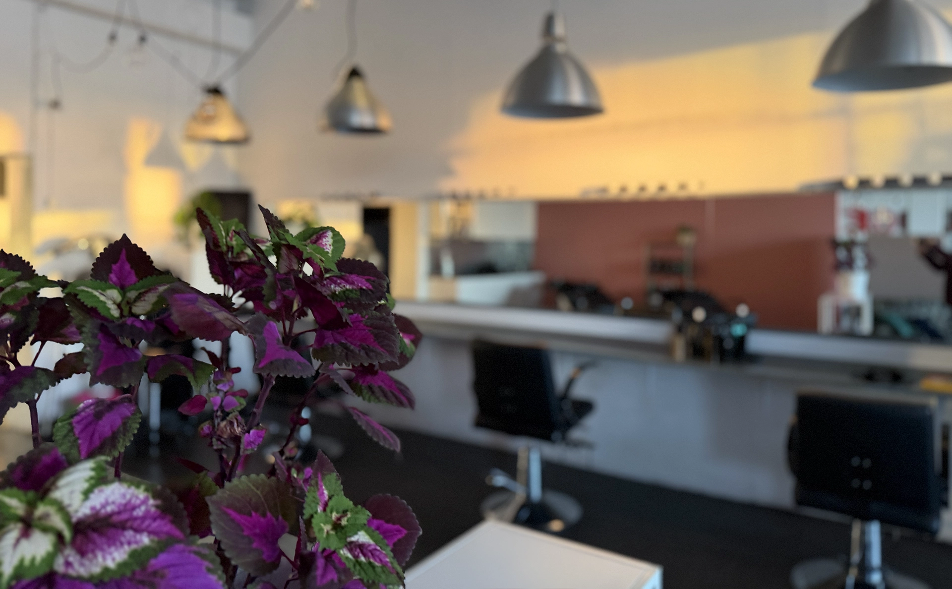 studio_vastra_sandgatan-frisor-helsingborg Studio Västra Sandgatan- Interiör från frisörsalong med speglar och frisörstolar
